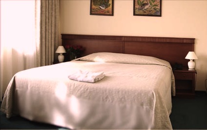 A room at the Nikola-House Hotel