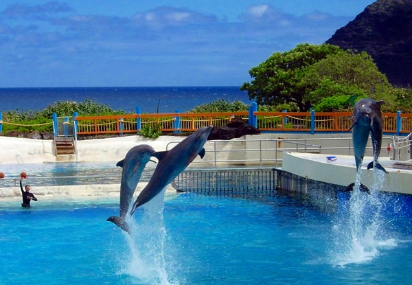 Sea Life Park, Honolulu, Hawaii