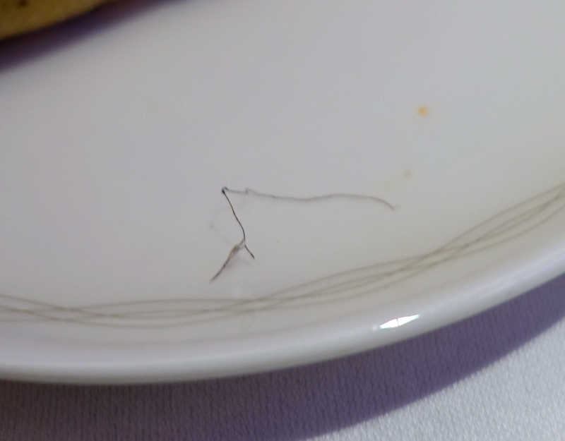 Hair That Was in My Food, British Airways First Class 747 Review