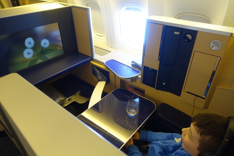 ANA First Class Suite Review