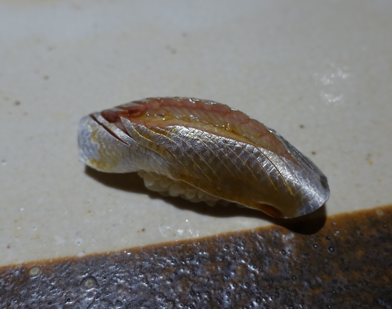 Gizzard Shad (Kohada)