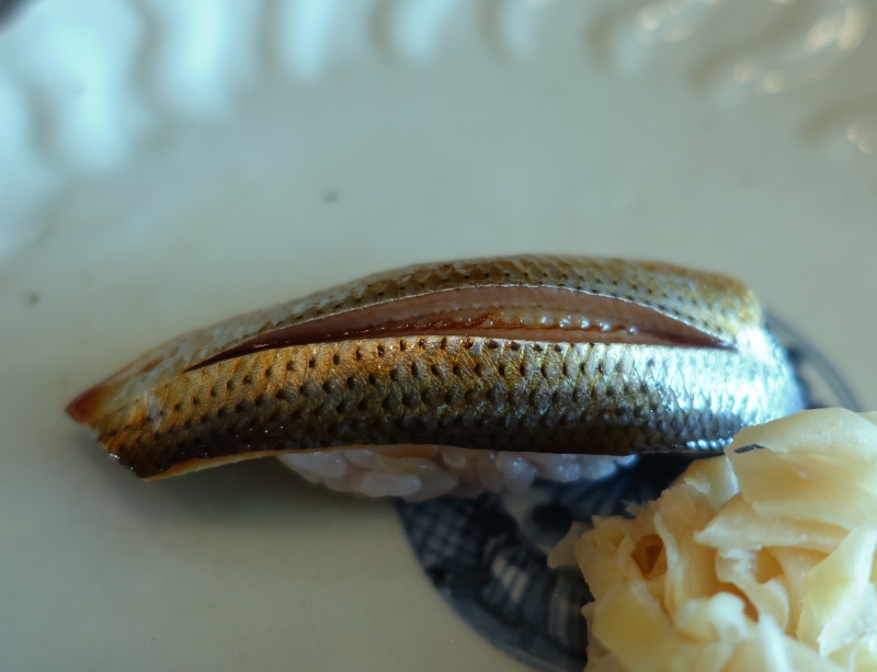 Kohada (Gizzard Shad), Sushi Sora Review