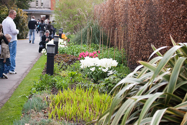 National Botanic Garden, Dublin