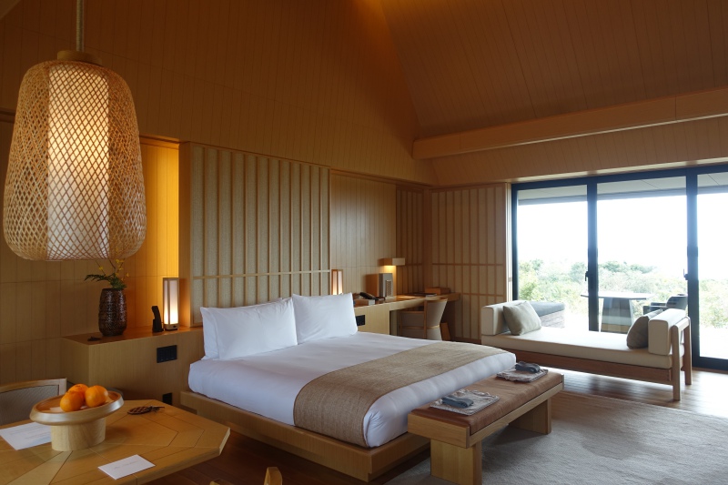 Amanemu Sora Suite Review