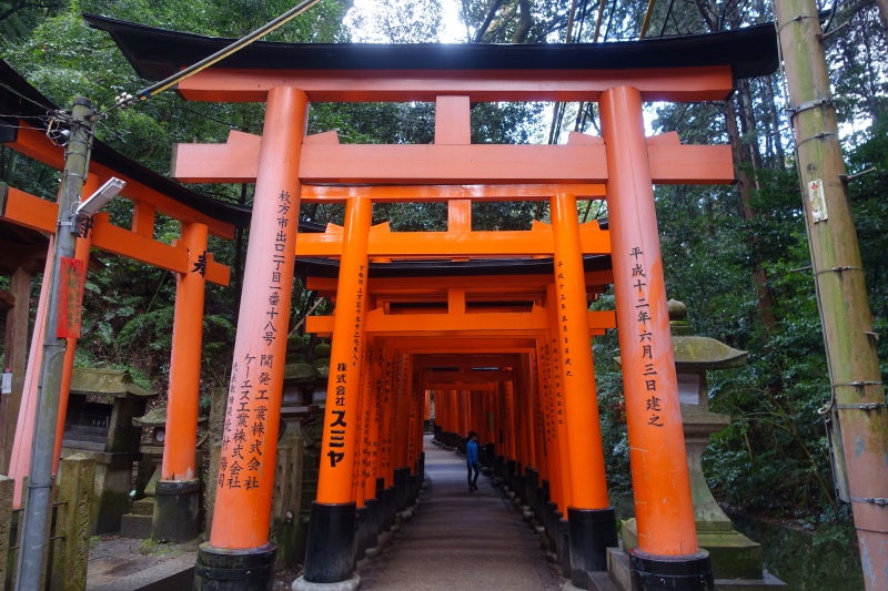 Red Torii at Fushimi Inari Shrine, Kyoto