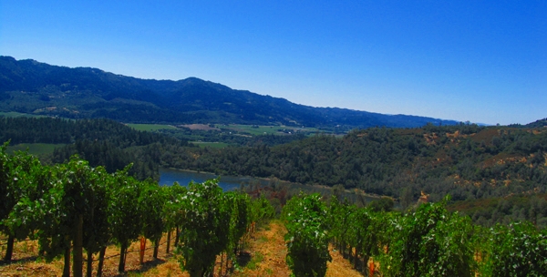 Viader Winery, Napa Valley