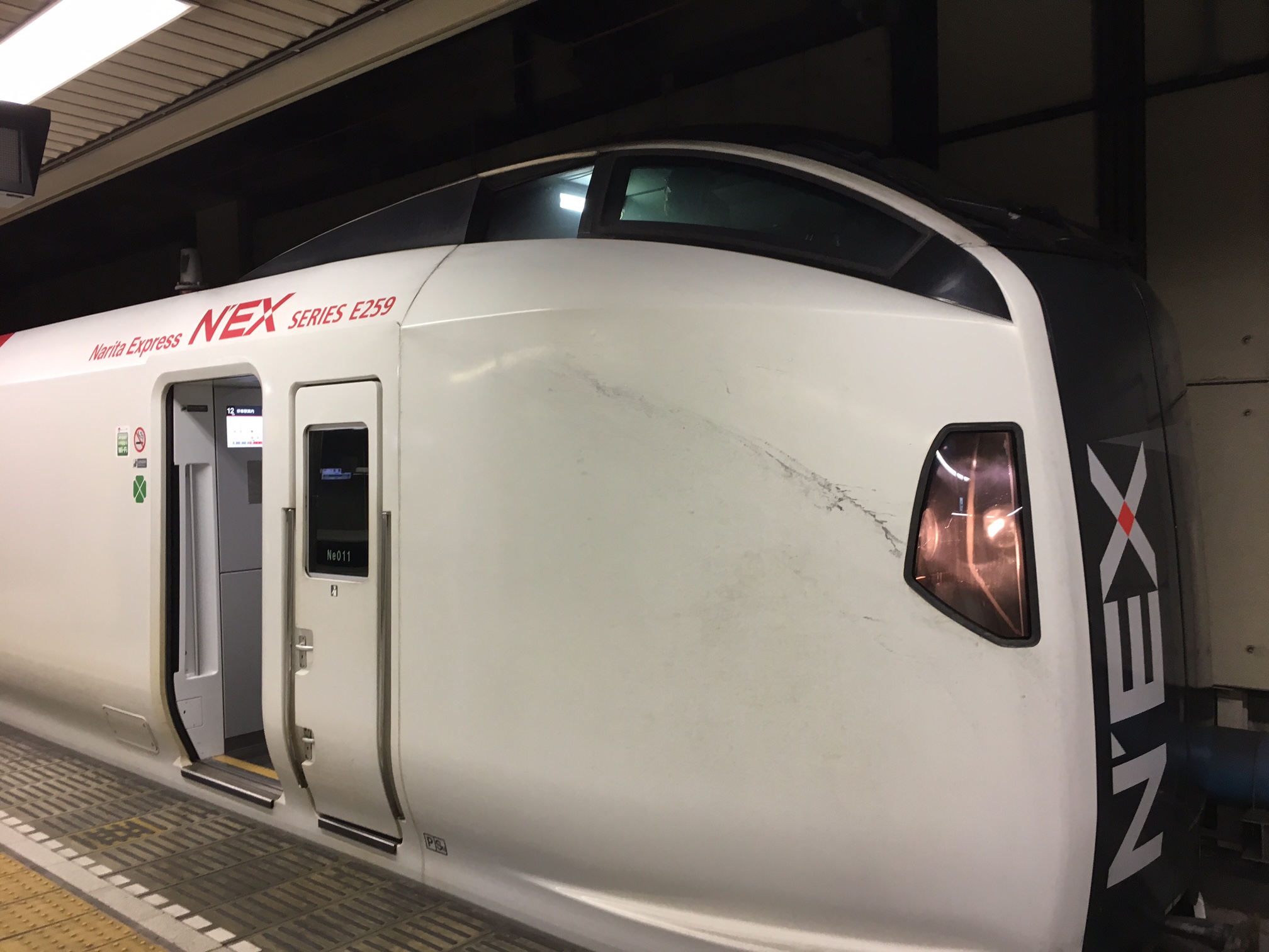 Narita Express Train Review
