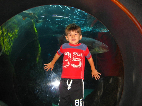 Waikiki Aquarium, Hawaii