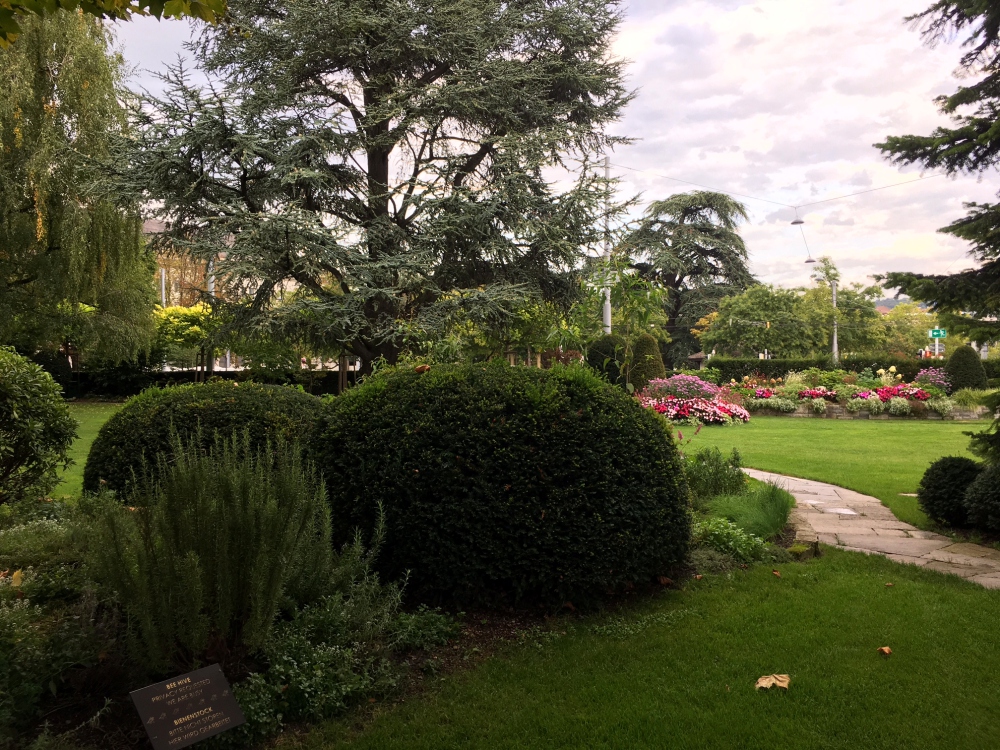 Hotel Garden