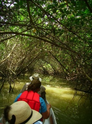 The Spondylus Trail, Canoa