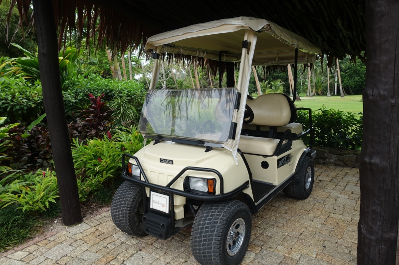 Laucala Buggy