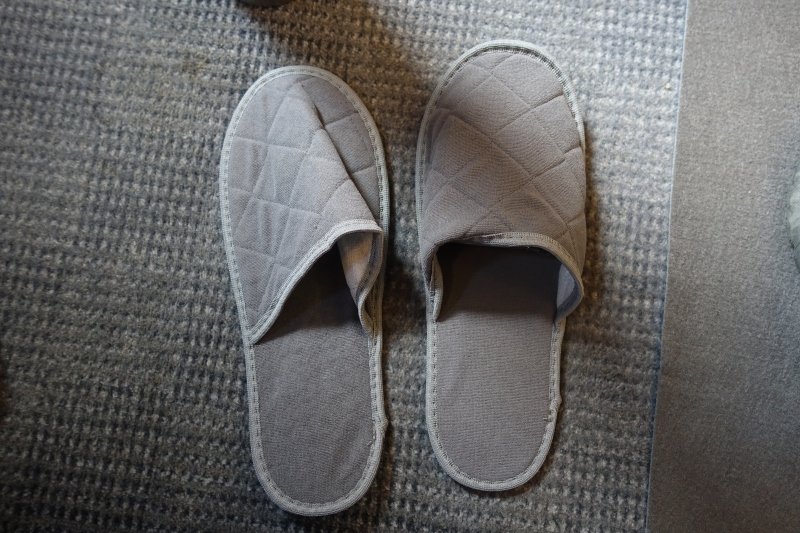 Slippers, Sapsan Business Class Review