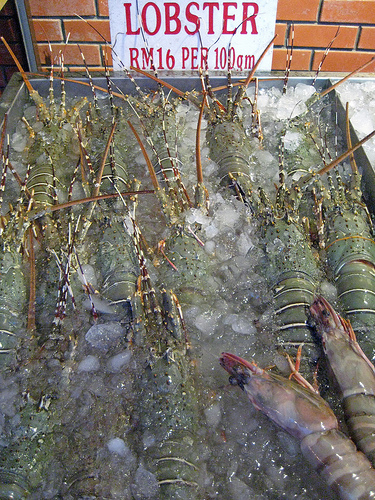 Lobsters, Langkawi