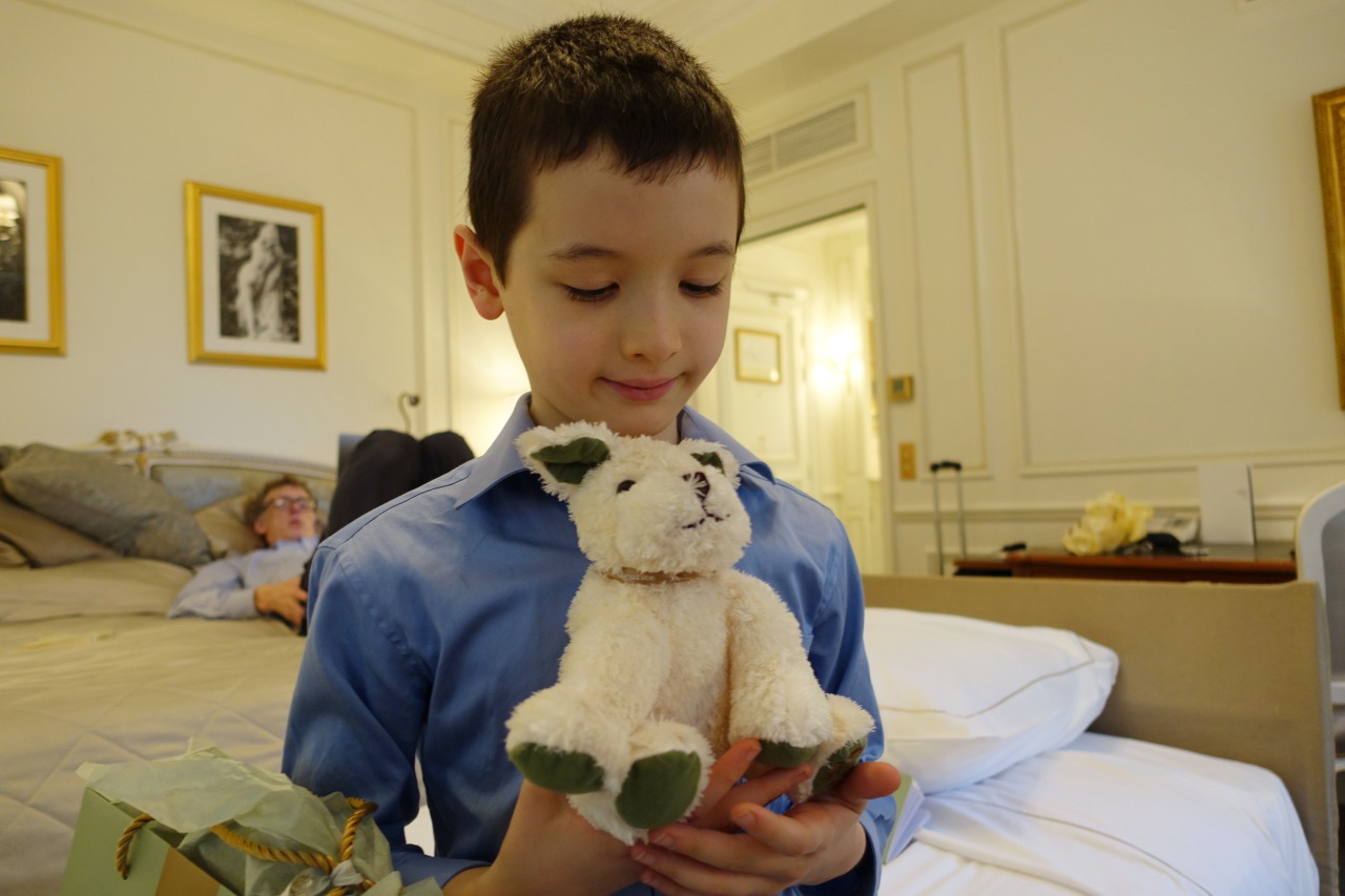 Plush Dog Kid's Welcome Amenity, Le Meurice, Paris