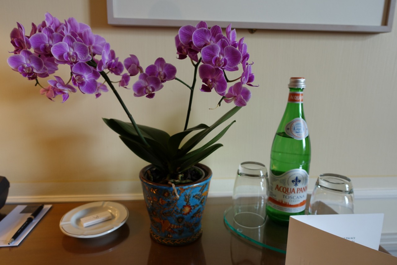 Bellevue Palace: Orchids and Partly Drunk Acqua Panna Water