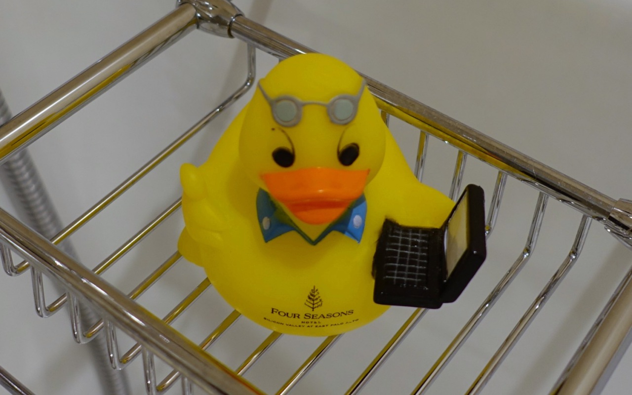 Rubber Duck