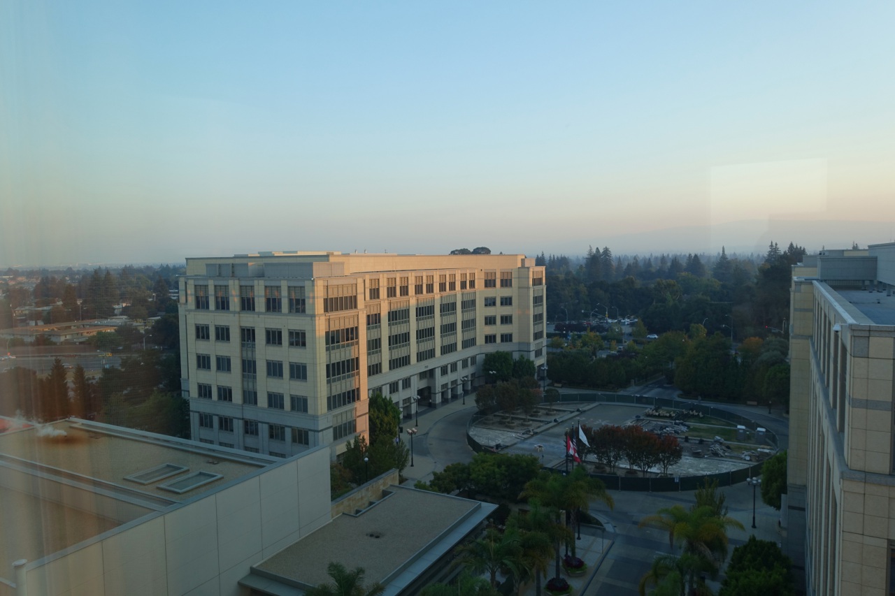 View of Santa Cruz Mountains