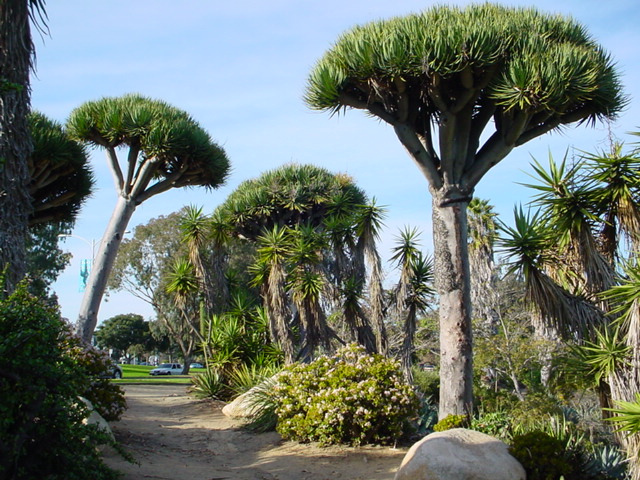 Green space at Balboa Park, San Diego