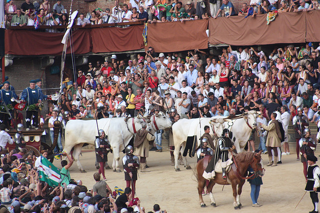 The excitement of the Palio, Siena