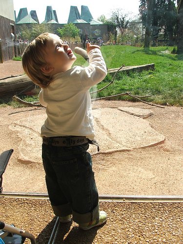 Enjoying the London Zoo