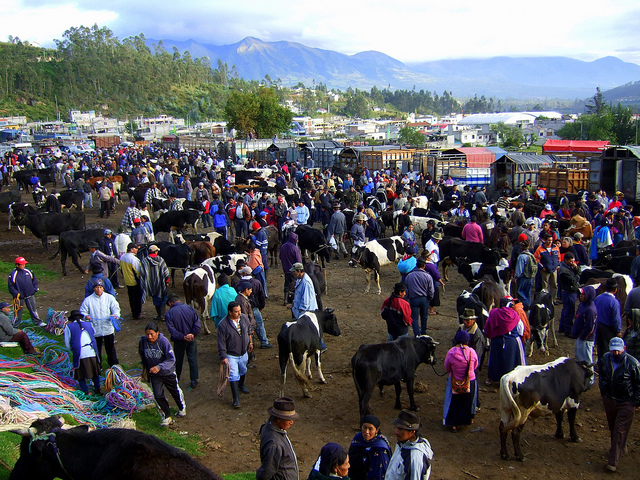 Animal market, Otavalo