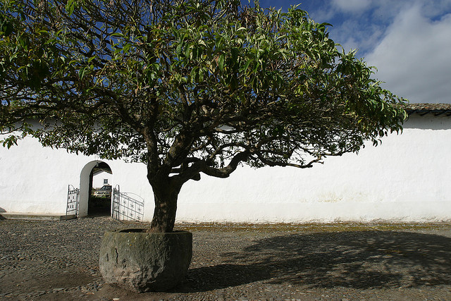 Hacienda Zuleta, Otavalo