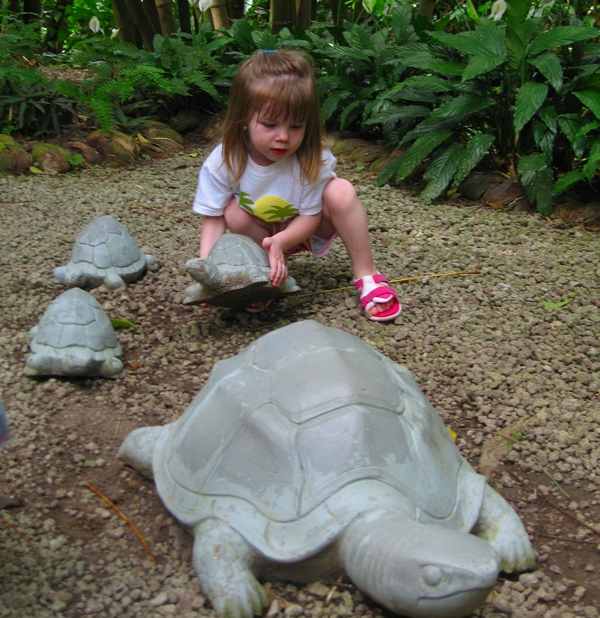 Playing with Turtles, Diamond Falls Botanical Gardens, St. Lucia with Kids