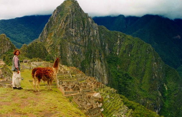 Llama and view near the Funerary Rock, Machu Picchu