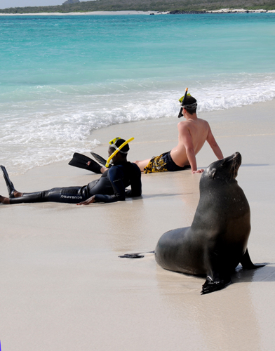 Snorkeling, Galapagos