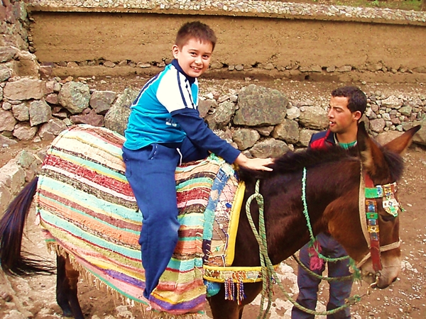 Mule ride to Kasbah du Toubkal-Marrakech with Kids