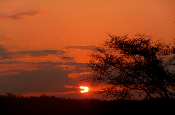Sunset over the African Bush-Pafuri-Makuleke Concession-Kruger National Park