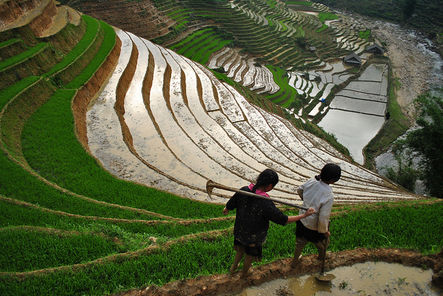 Don't forget to take the night train to Sapa