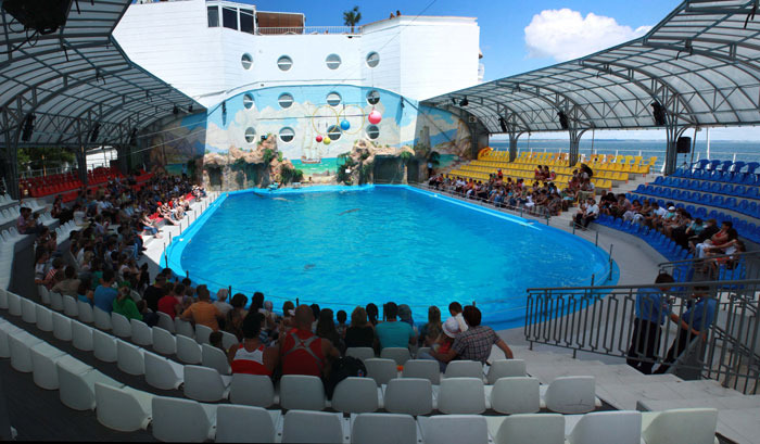 Nemo, Odessa and its dolphin show area