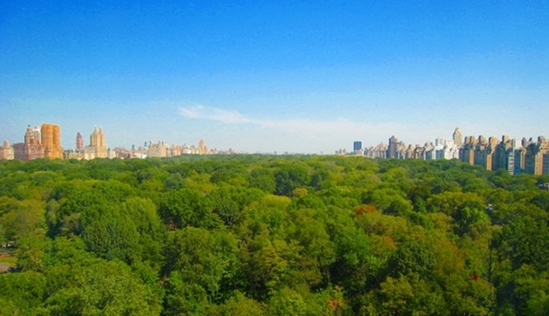 The Ritz-Carlton Central Park is across from the park