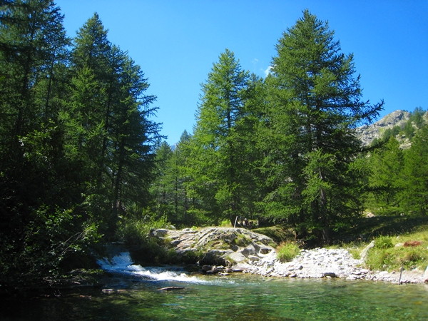 Stream in Mercantour National Park near Casterino Tende France