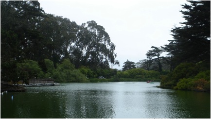Stow Lake, Golden Gate Park