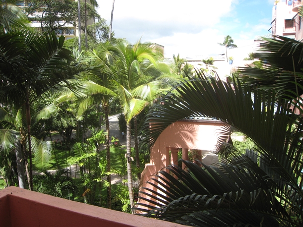 The Royal Hawaiian Hotel Review-Grove Room View