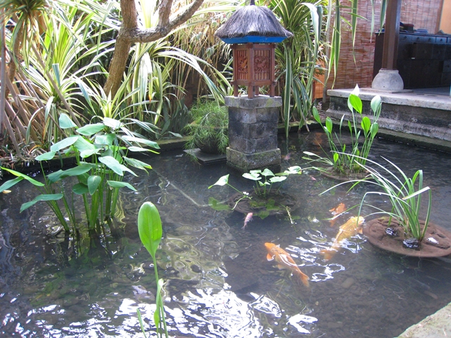 Four Seasons Bali Jimbaran Bay-Carp Pool