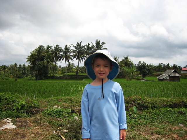 Monkey Forest Ubud Bali Review Tips - Walk along rice fields