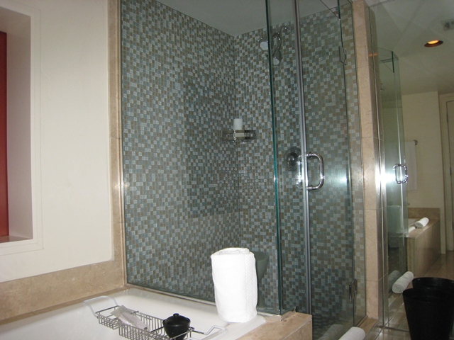 Sanctuary Camelback Mountain Review - Shower