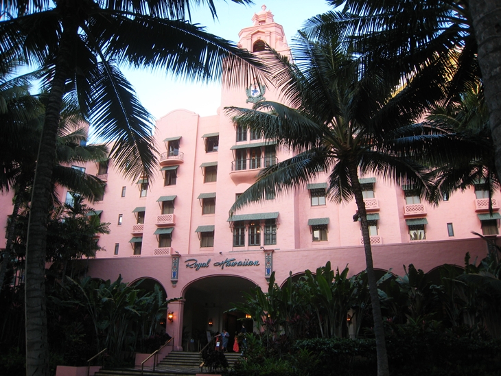 A palm tree in front of a building