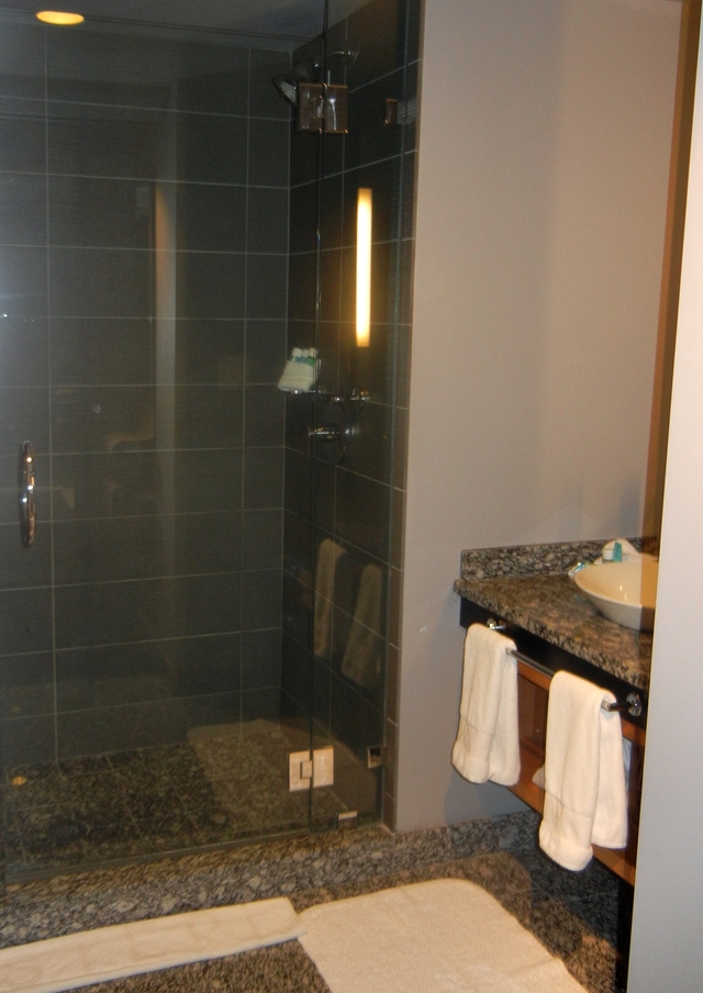 W Boston Hotel Review - Walk-in Shower