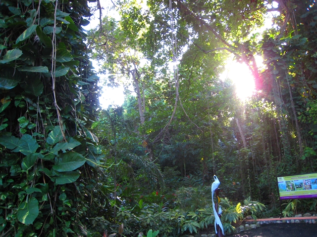 Mystic Mountain Bobsled and Zipline Review, Jamaica