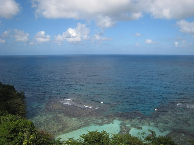 Mystic Mountain Bobsled and Zipline Review, Jamaica - Ocean View from Sky Tram