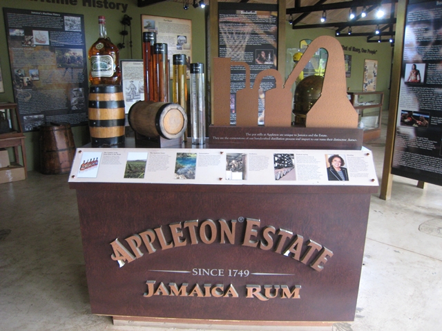 Mystic Mountain Bobsled and Zipline Review, Jamaica