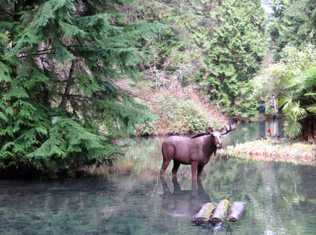 Stanley Park Miniature Train-Vancouver with Kids-Moose in Lake