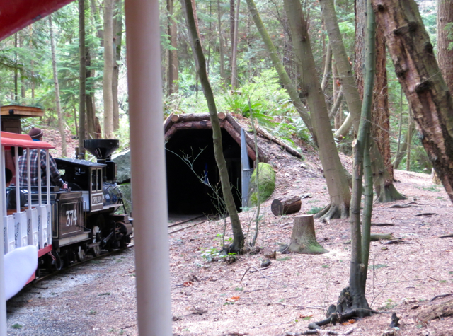 Stanley Park Miniature Train-Vancouver with Kids-Entering Tunnel