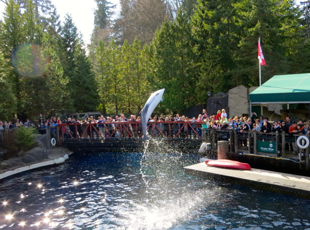 Vancouver Aquarium in Stanley Park with Kids - Original Vancouver Aquarium With KiDs Dolphin Show