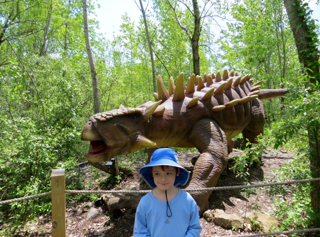 Review: Field Station Dinosaurs - Ankylosaurus