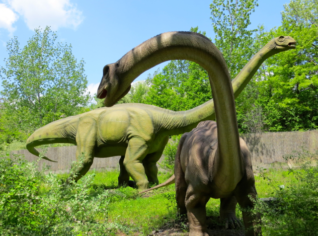 Review: Field Station Dinosaurs - Apatosaurus